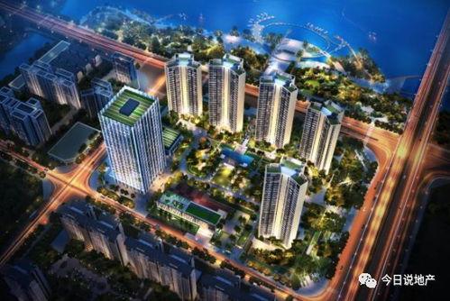 金湾最新爆料,揭秘神秘项目背后的惊人真相！  第3张