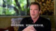 阿诺视频爆料最新官网,官网揭秘惊人内幕 第1张 阿诺视频爆料最新官网,官网揭秘惊人内幕 第1张