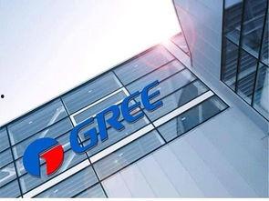 格力内部爆料图片最新,揭秘格力电器最新动态与未来战略  第2张